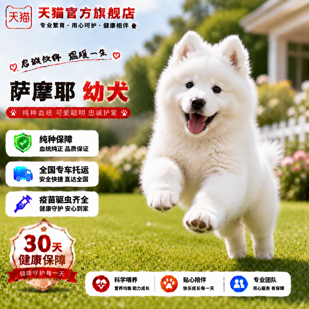 便宜宠物狗粘人幼宠活物家养狗