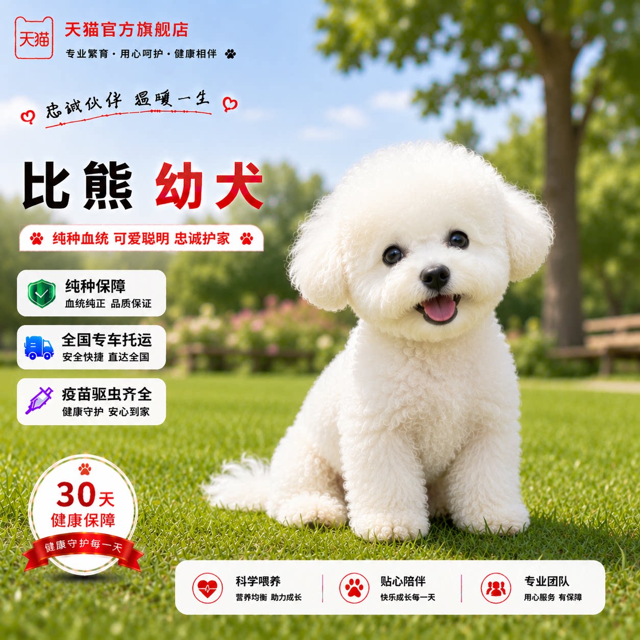 崽真狗精品便宜小狗球形家养
