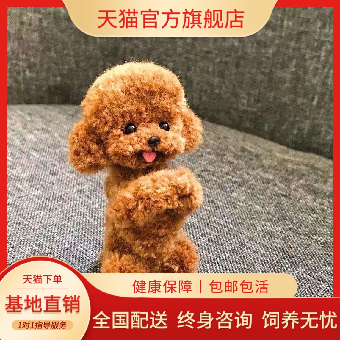 小型犬可爱聪明便宜网红狗家养