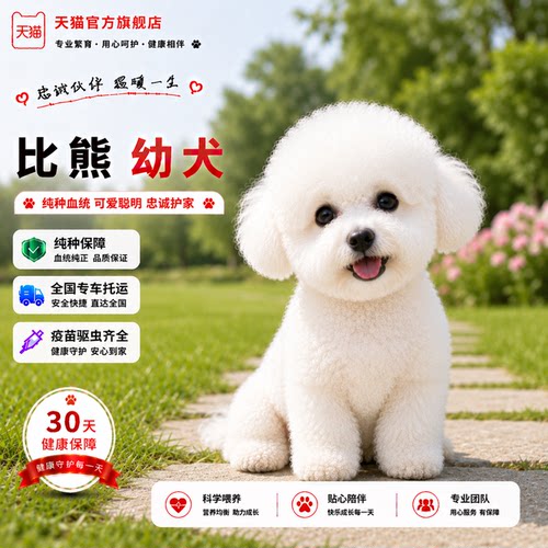 迷你超萌球形幼崽超小长不大