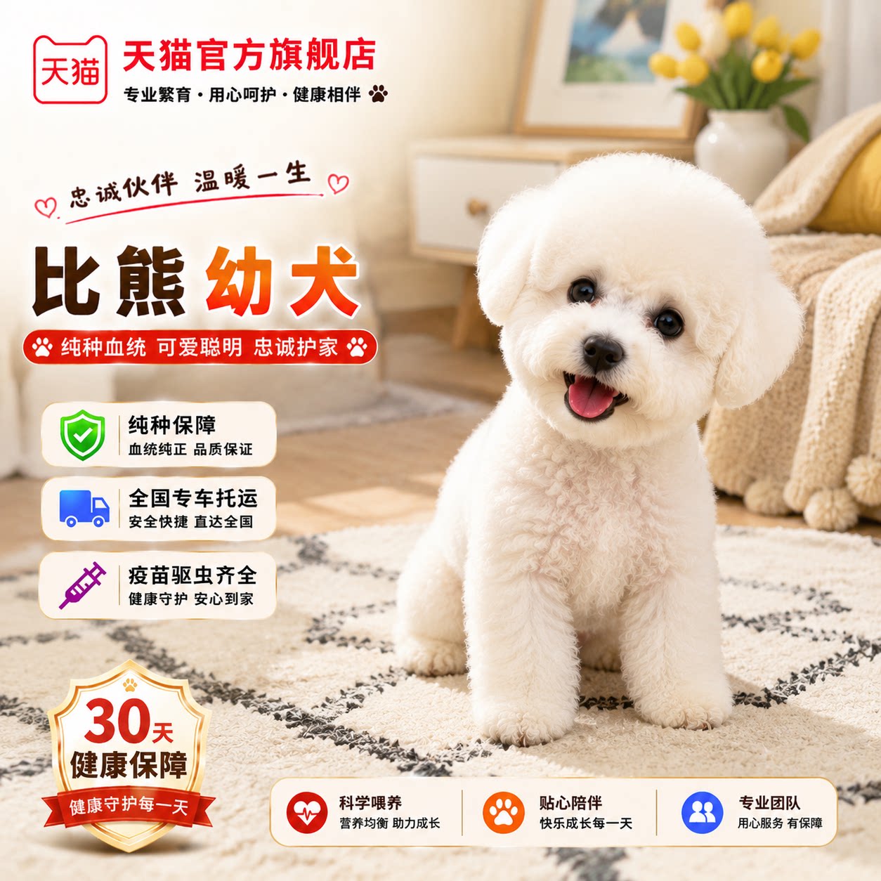 长不大超萌便宜白活物犬幼崽真狗