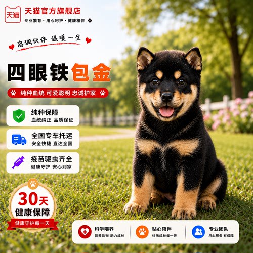 好看好养看家护院便宜护主家养