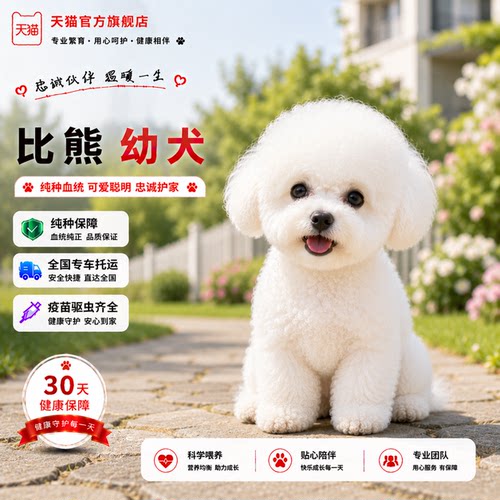 圆脸犬可爱活物网红狗迷你白色
