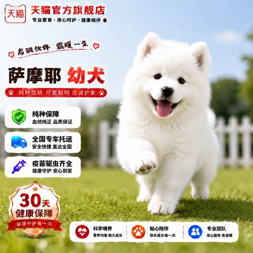好养活物陪伴犬便宜狗活体狗