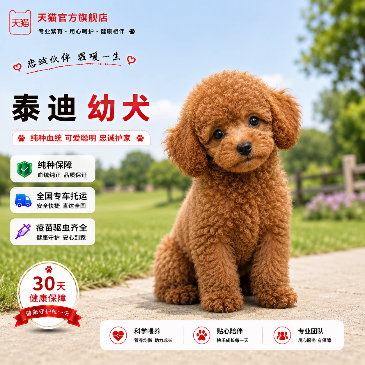 可爱小型犬便宜长不大网红活物