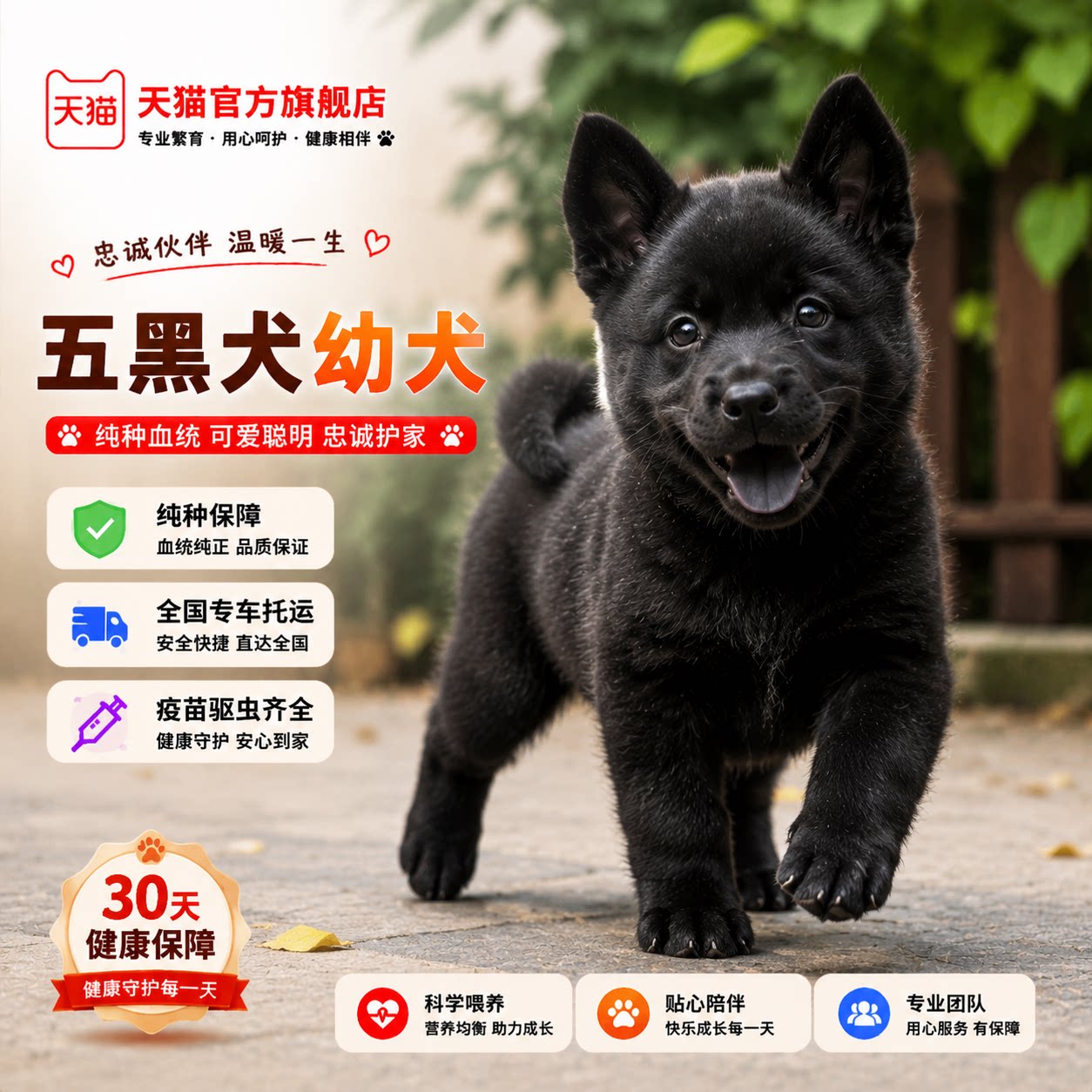 骨架大型犬赶山犬忠诚便宜护主狗