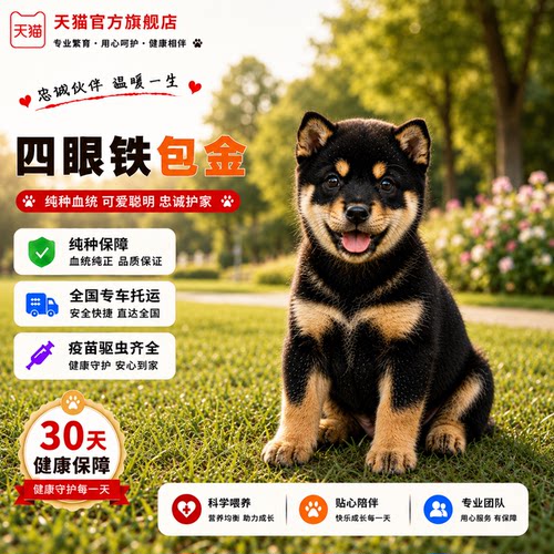 土狗护主好看便宜农村巡山