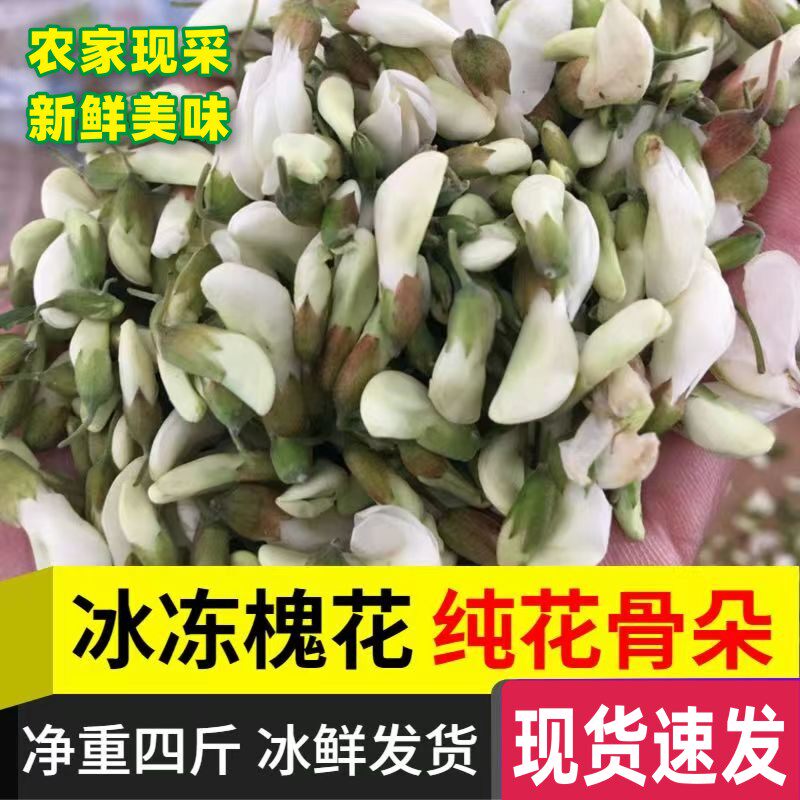26年农家新鲜洋槐花冷冻花苞杨槐花骨朵现货野菜现摘蔬菜4斤包邮