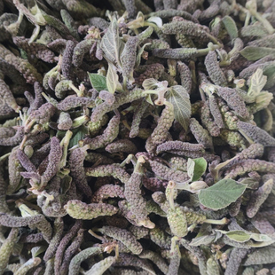 25年绰水构絮蒸野菜构树花野生构蒲穗楮不就子农家冷冻构棒槌包邮