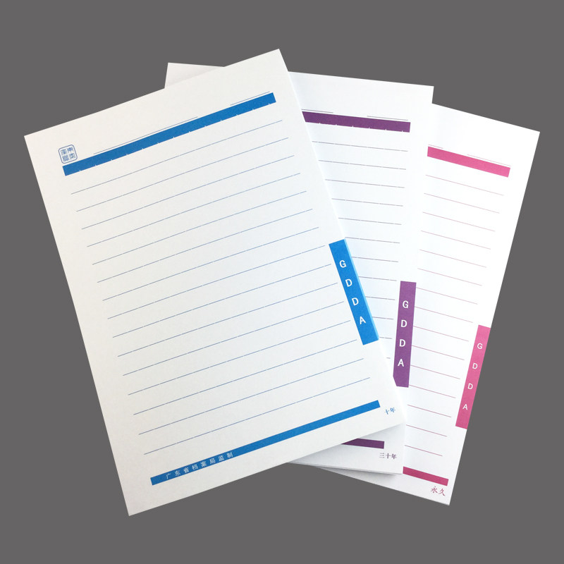 a4省标目录纸  十年 三十年  短期 长期 隔页纸  双胶纸 100张装