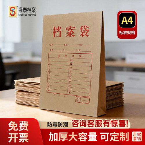盛泰加厚进口无酸纸档案袋