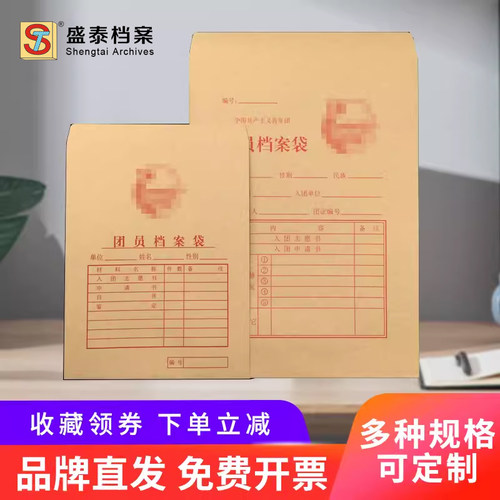 大号团员档案袋共青团文件袋