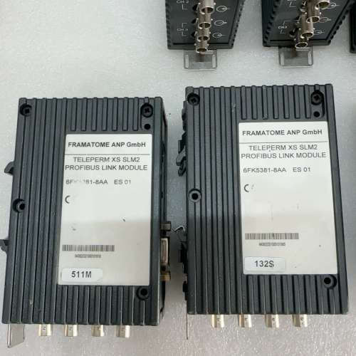 TELEPERM-XS-SLM2光电转换模6FK5381-8议价