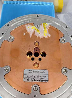 NOVELLUS 电极加热板02-134263-00  ki议价