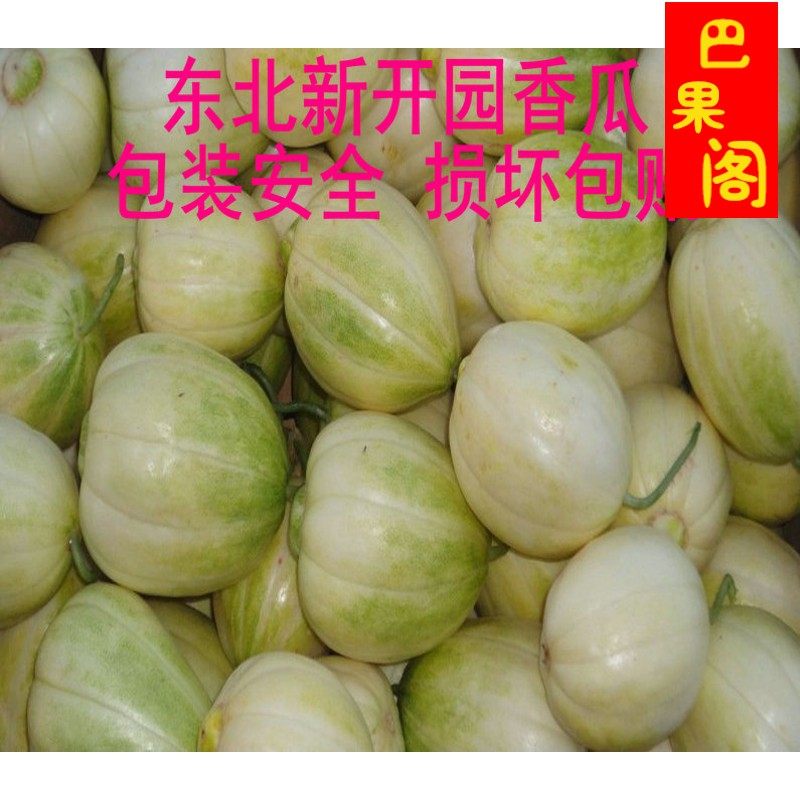 東北京蜜香瓜 蜜糖罐香瓜 當季新鮮小香瓜 新鮮脆甜水果帶箱4斤包在類目 水產肉類/新鮮蔬果/熟食, 新鮮水果, 其它中 - 來自Buy2taobao.com提供專業的淘寶代購服務