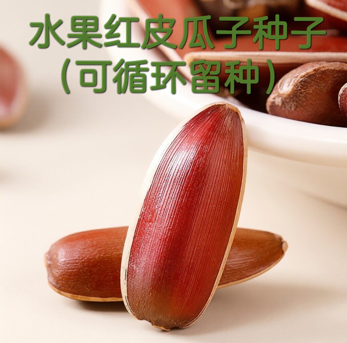 老品种云南水果红皮葵花种子葵花种籽可循环留种瓜子种向日葵易活