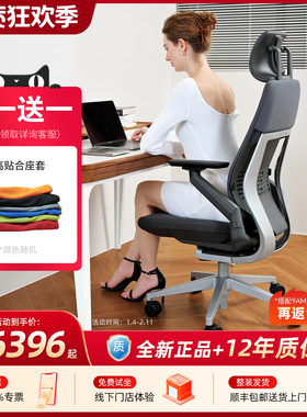 steelcase世楷人体工学椅电脑椅舒适久坐护腰办公椅电竞椅gesture