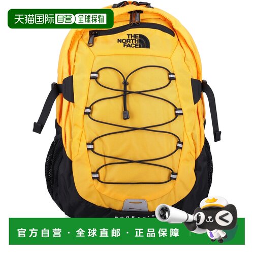 1h可退 香港直邮THE NORTH FACE 男士双肩包 NF00CF9C4WP1 CO 棕