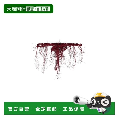 香港直邮Dsquared2 二次方 女士 高腰皮带 red红色 舒适时尚