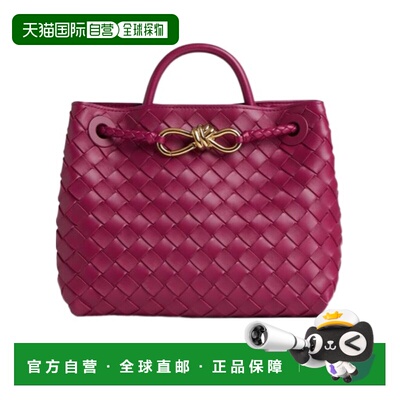 香港直邮Bottega Veneta 小号Andiamo手提包 766014VCPP1