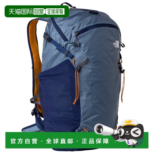欧洲直邮the north face/北面  双肩包背包