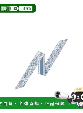 香港直邮Dior 尖头丝巾 32PAR106I600