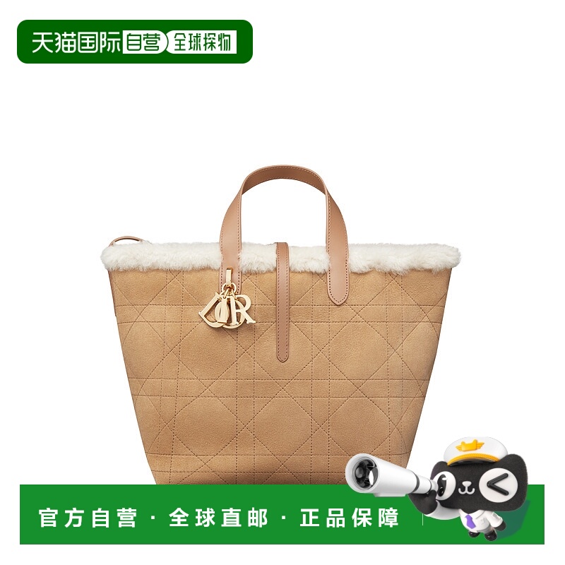欧洲直邮DIOR (2025) Dior Toujours 中号垂直托特包 DiorAlps