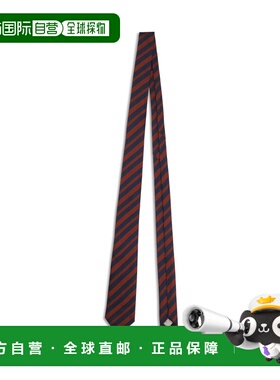 1h可退 香港直邮dior 迪奥 桀傲 男士 领带 68C1047B6046583