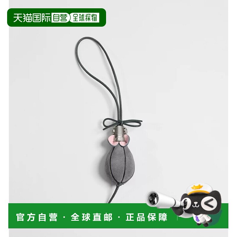 Dior 鼠标包挂饰 2ESKH716AAG图片
