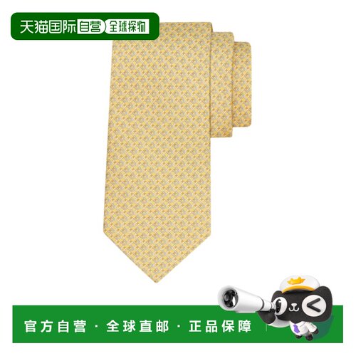 Salvatore Ferragamo Gancini 方格印花领带 3514【付后1h可退】