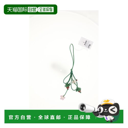 香港直邮DIOR 迪奥 女士 包包配饰 V2109WOMCL 时【付后1h可退】