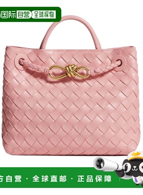 香港直邮Bottega Veneta Andiamo 小号单肩包 766014VCPP1