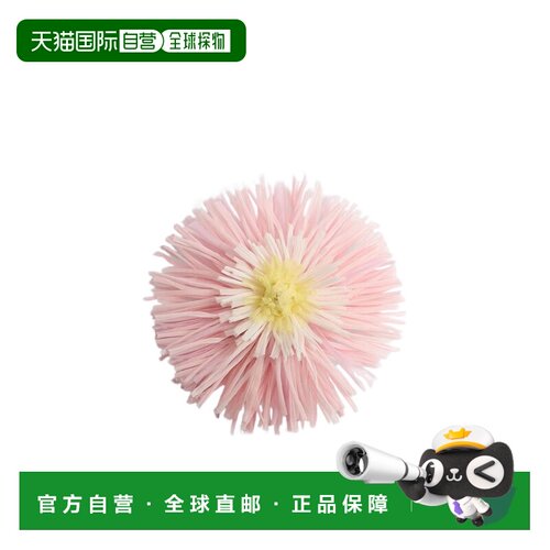 Dior Dior en Fleurs 胸针 V2297WOMSE 【付后1h可退】流苏