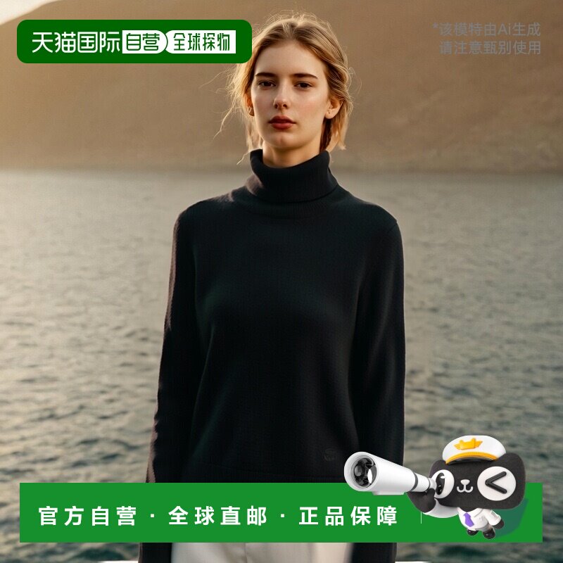 1h可退 香港直邮Celine 羊绒高领毛衣 2ADHI977V.