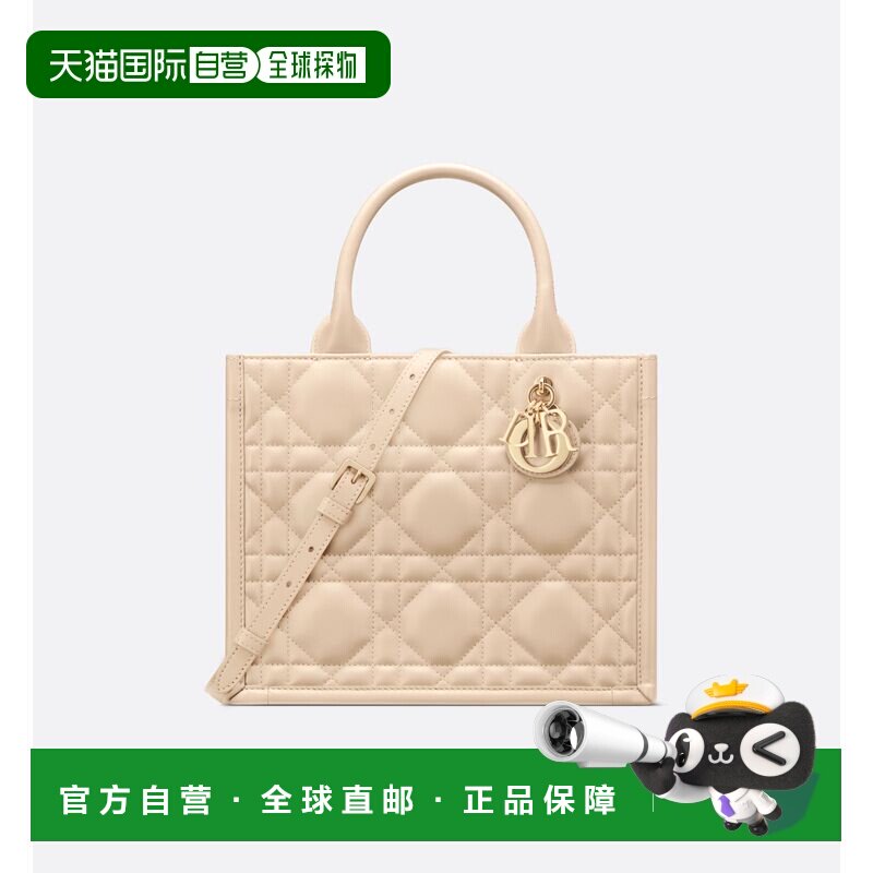 欧洲直邮DIOR迪奥DiorBookTote小包手提包牛皮小号