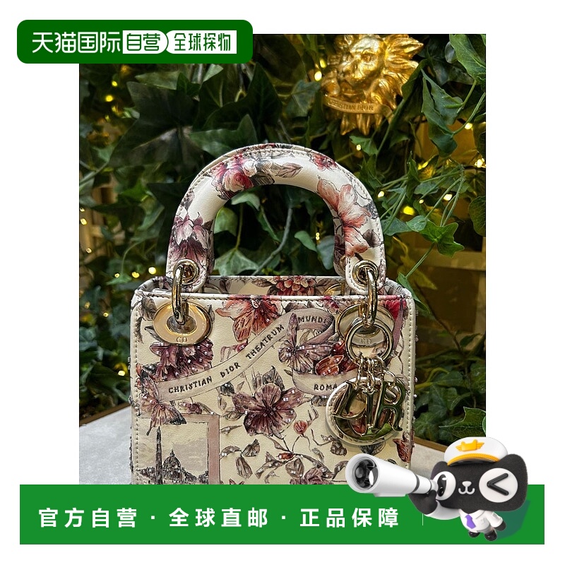 香港直邮Dior Lady Dior 手提包 M0505OIUQ