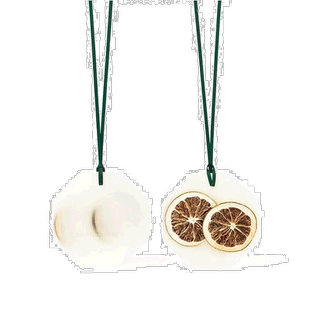 欧洲直邮Carriere Freres法国植物学家全系列香薰蜡片柠檬薰衣草