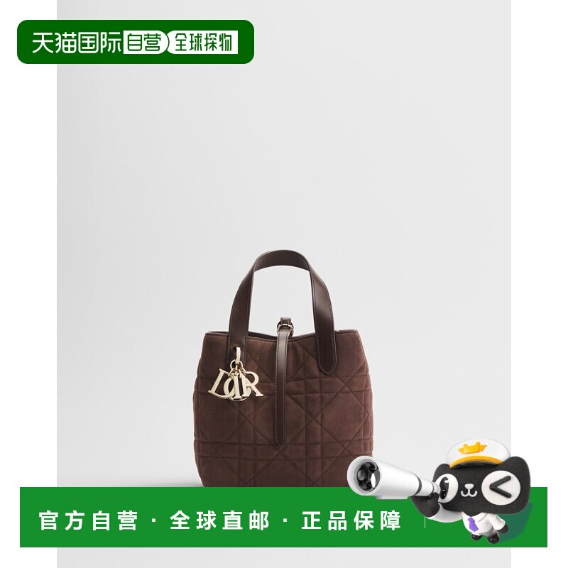 欧洲直邮迪奥始终纵向托特小号手袋托特包单肩包手提包