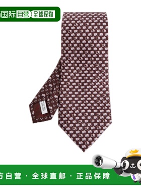 香港直邮Salvatore Ferragamo 尖头领带 351320菲拉格慕