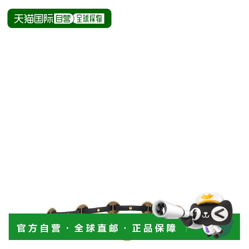香港直邮Pinko 品高 女士 雕刻扣板皮带 104038A23S