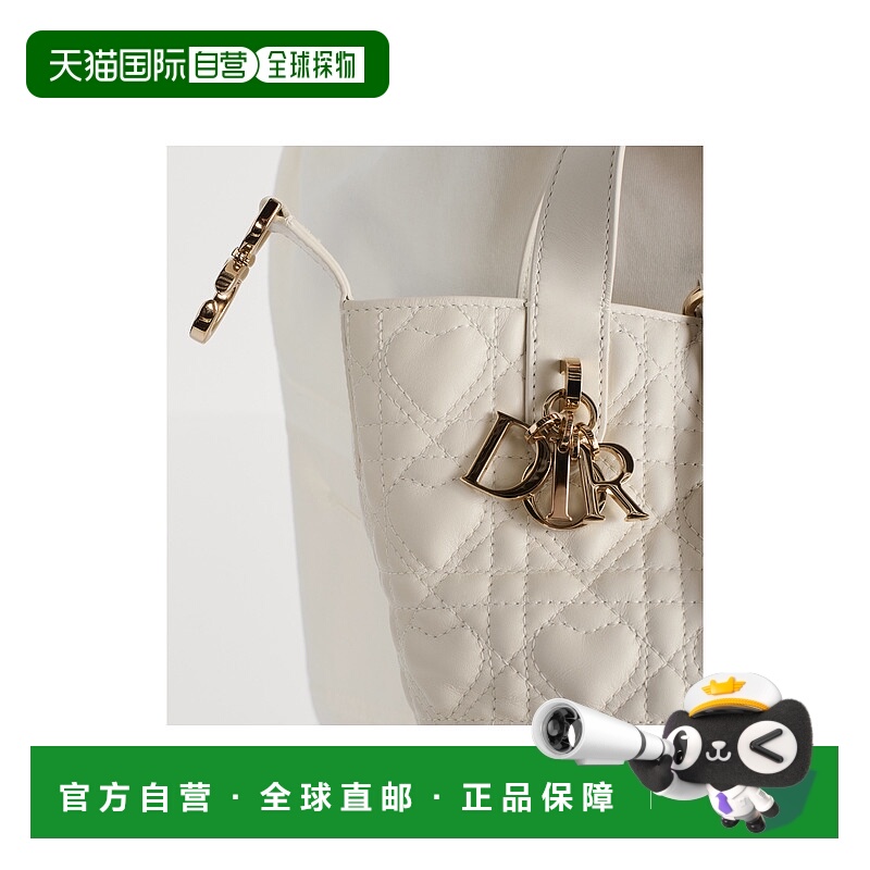 欧洲直邮DIOR (2025) Dior Toujours Nano 垂直托特包