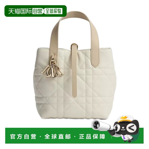 Dior 小号 Dior Toujours 垂直托特包 M2835OSOB斜挎包单肩包