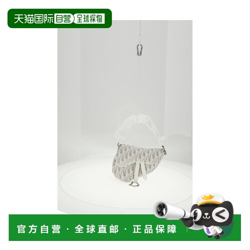 香港直邮DIOR 迪奥 女士 翻盖帆布单肩包 M0457PTZQ