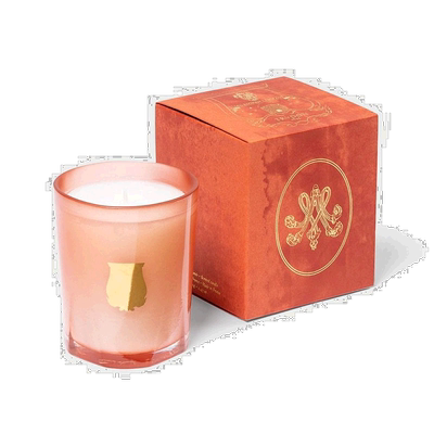 欧洲直邮Cire Trudon希拉 楚顿 Tuileries系列香薰蜡烛70g 卧室香