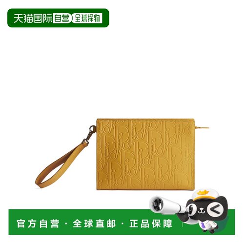Dior A5 三角形手拿包 2ESCA679GVM