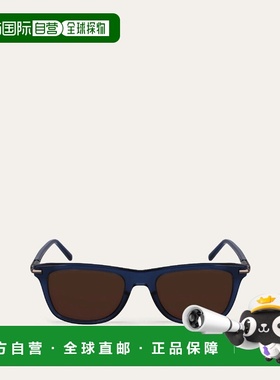 1h可退 欧洲直邮菲拉格慕 25秋冬 51H028 777069 男士 太阳眼镜