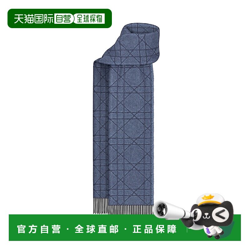1h可退 欧洲直邮DIOR 迪奥 25秋冬 61E0004A0016_C585 男士 围巾