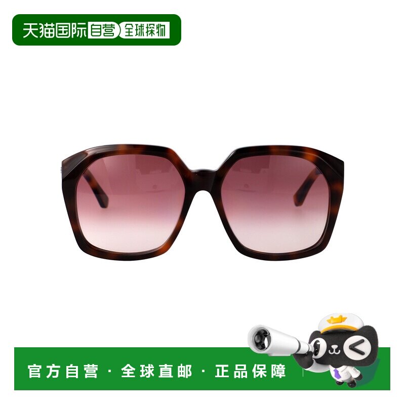 1h可退 香港直邮Chloe 蔻依 女士 徽标太阳镜 CH0280S brown棕色