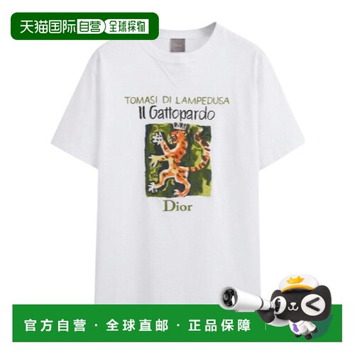 Dior 短袖T恤 643J633C3947 【付后1h可退】