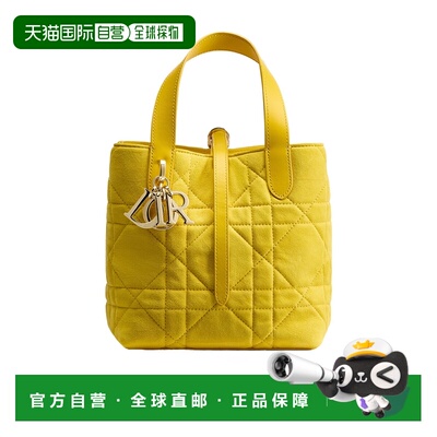 1h可退 香港直邮Dior 小号 Dior Toujours 单肩包 M2835OSOQ